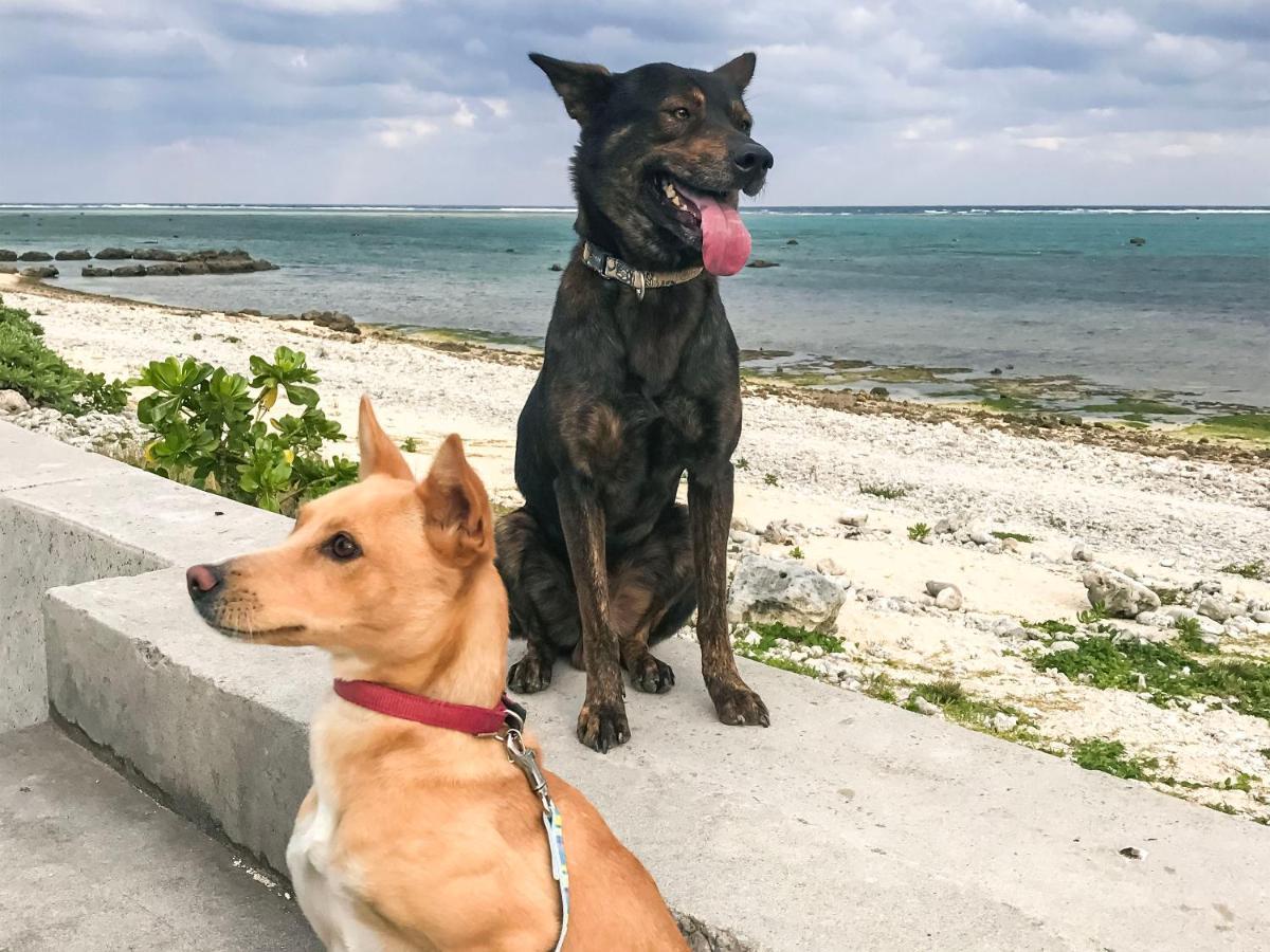 Minshuku Irayoi Otel Ishigaki  Dış mekan fotoğraf