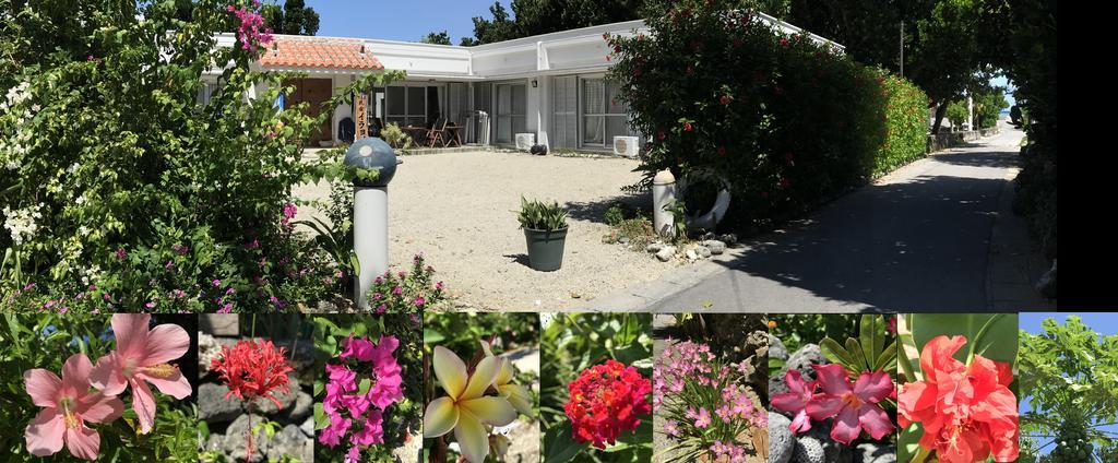 Minshuku Irayoi Otel Ishigaki  Dış mekan fotoğraf